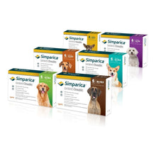 Cargar imagen en el visor de la galería, Tableta Antipulgas/ Garrapatas Simparica /40 A 60kg/ 4 Meses 3 comprimidos