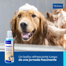 Cargar imagen en el visor de la galería, Shampoo Virbac Mastin Line Antipulgas y Garrapatas 250ml