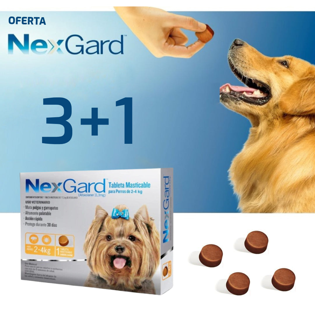 Nexgard Pastilla Antipulgas a 4Kg Promo 3+1 – Veterinaria La