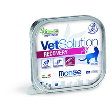 Cargar imagen en el visor de la galería, Pate Para Gato Monge Grain Free Recovery 100g