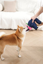 Cargar imagen en el visor de la galería, Mpets Mega Jugete Para Perros Búfalo