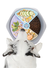 Cargar imagen en el visor de la galería, Mpets Level Up Comedero Lento Bowl M