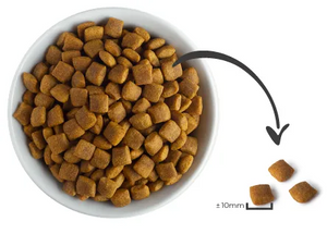 Finotrato Senior Adulto Razas Grandes 15kg