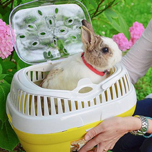 Cargar imagen en el visor de la galería, Transportadora Cobayos, Hamster, Conejo 36 x 26 x h 23 cm Rosada