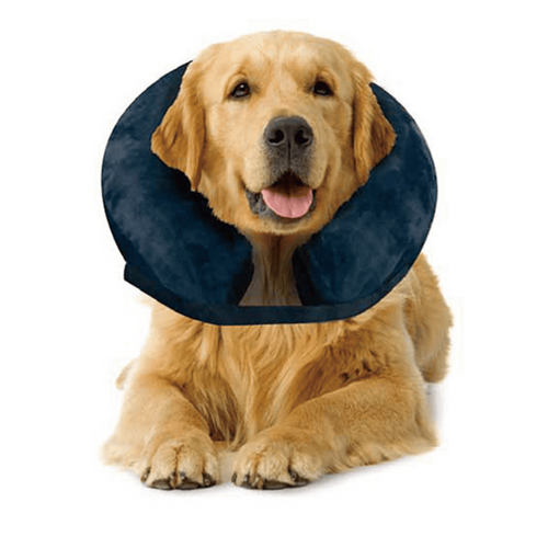 Collar Inflable Mpets Isabelino (18-30 cm)Talle S