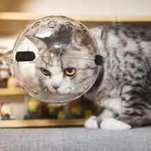 Cargar imagen en el visor de la galería, Casco Isabelino Protector Space Hood Gato Mediano
