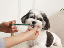 Cargar imagen en el visor de la galería, Administrador de Pastillas y Medicamentos Procare Set 2pcs