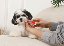 Cargar imagen en el visor de la galería, Administrador de Pastillas y Medicamentos Procare Set 2pcs