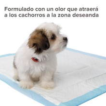 Cargar imagen en el visor de la galería, Educador de Perros Stop It (Pipi aqui) 20ml Beaphar