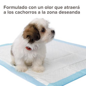 Educador de Perros Stop It (Pipi aqui) 20ml Beaphar