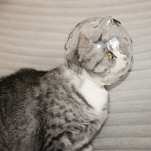 Cargar imagen en el visor de la galería, Casco Isabelino Protector Space Hood Gato Mediano