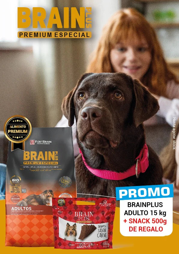 Promo Brain Plus Premium Adulto 15kg Con Snacks 500g