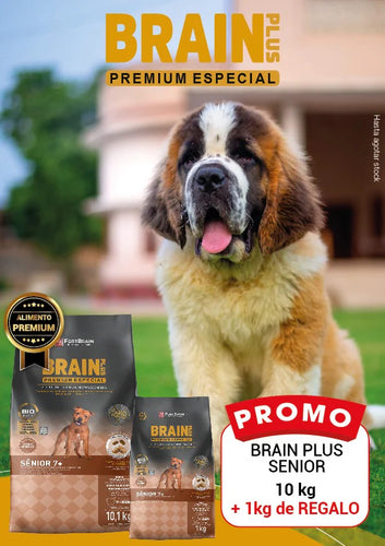 Promo Brain Plus Premium Senior 10+1kg Con Regalo