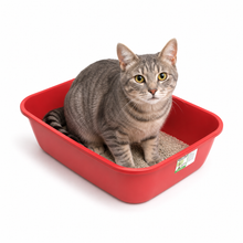 Cargar imagen en el visor de la galería, Baño Bandeja Sanitaria Gato WC Light Eco 41*30*10 CM
