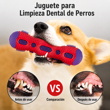 Cargar imagen en el visor de la galería, Juguete Dental GiGwi Mordedor Perros Limpieza de Dientes 20,5 cm