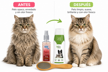 Cargar imagen en el visor de la galería, Kit Higiene y Cuidado Gatos Peine + Shampoo + Colonia