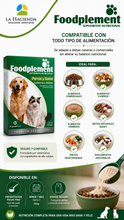 Cargar imagen en el visor de la galería, Suplemento Nutricional Foodplement Perros y Gatos 250g