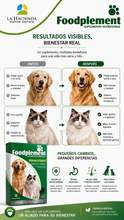 Cargar imagen en el visor de la galería, Suplemento Nutricional Foodplement Perros y Gatos 250g