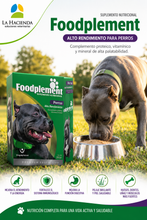 Cargar imagen en el visor de la galería, Suplemento Nutricional Foodplement Alto Rendimiento 250g