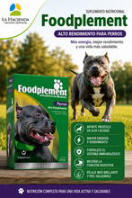 Cargar imagen en el visor de la galería, Suplemento Nutricional Foodplement Alto Rendimiento 250g