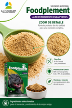Cargar imagen en el visor de la galería, Suplemento Nutricional Foodplement Alto Rendimiento 250g