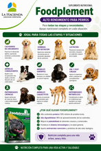 Cargar imagen en el visor de la galería, Suplemento Nutricional Foodplement Alto Rendimiento 250g