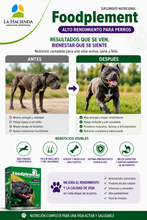 Cargar imagen en el visor de la galería, Suplemento Nutricional Foodplement Alto Rendimiento 250g