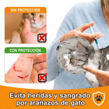 Cargar imagen en el visor de la galería, Casco Isabelino Protector Space Hood Gato Mediano