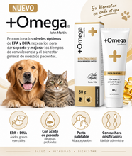 Cargar imagen en el visor de la galería, Suplemento Pasta Palatable Omega 3 - 80 g John Martin
