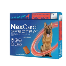 Cargar imagen en el visor de la galería, Pastilla Antipulgas Nexgard Spectra 30kg A 60kg (3 meses)