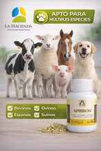 Cargar imagen en el visor de la galería, Apibron 150g Mucolítico Respiratorio Tos Perros, Gatos.