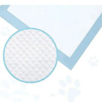 Cargar imagen en el visor de la galería, Pañales Entrenamiento Sabanilla La Hacienda Blanco 60x60 30 Unidades