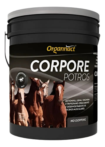 Suplemento Equinos Organnact Corpore Potros Aminoácidos 3kg