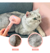 Cargar imagen en el visor de la galería, Cepillo a Vapor Recargable USB Perros y Gatos Rosado