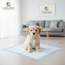 Cargar imagen en el visor de la galería, Pañales Entrenamiento Sabanilla La Hacienda Blanco 60x60 30 Unidades