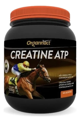 Suplemento Equinos Polvo Organnact Creatina Atp 500g No Dopping