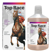 Cargar imagen en el visor de la galería, Suplemento Richmond Top Race Aminoácidos Líquido 530ml