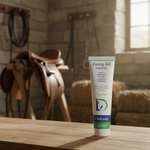 Cargar imagen en el visor de la galería, Deltavet Crema 6A Equinos Antibiótico Antinflamatorio 100g