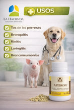 Cargar imagen en el visor de la galería, Apibron 150g Mucolítico Respiratorio Tos Perros, Gatos.