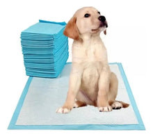 Cargar imagen en el visor de la galería, Pañales De Entrenamiento Para Perros 40x60 X 100 Unidades
