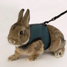 Cargar imagen en el visor de la galería, Arnés Para Roedores Y Conejos Jogging S Pettorina C/guinz