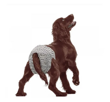 Cargar imagen en el visor de la galería, Pañal  Macho Diapers Dog M x (10UNID) Fofos