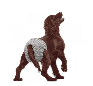 Pañal  Macho Diapers Dog M x (10UNID) Fofos