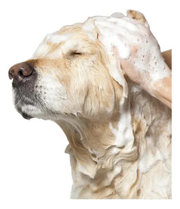 Dermapet Shampoo Pelo Largo Con Ceramidas Perros y Gatos 250 Ml