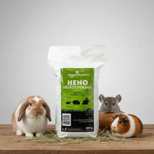 Cargar imagen en el visor de la galería, Heno Seleccionado 2kg Nelson Ranch