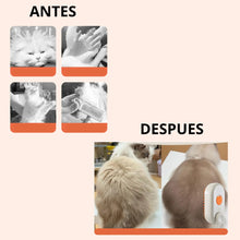 Cargar imagen en el visor de la galería, Cepillo a Vapor Recargable USB Perros y Gatos