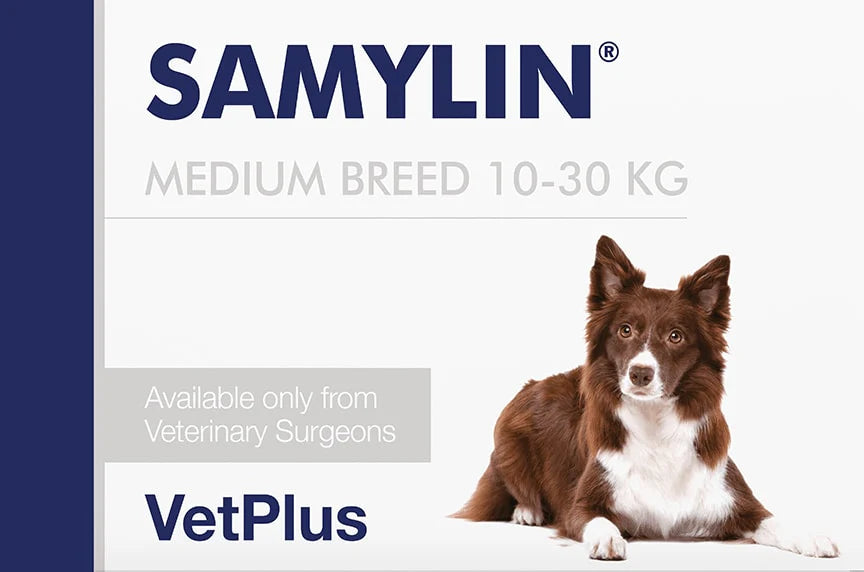 VetPlus Samylin 30comp. Razas Medianas (10 a 30Kg)