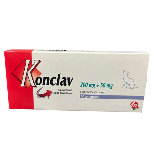 Konclav (Igual a Clavamox) 250mg x 10 Comprimidos