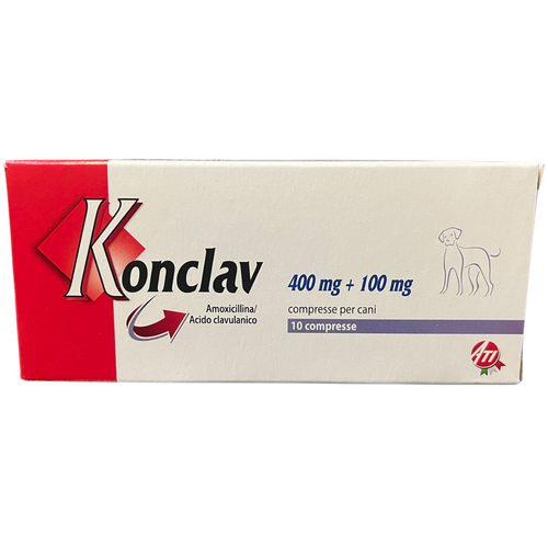 Konclav (Igual a Clavamox) 500mg x 10 Comprimidos