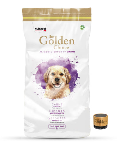 Golden Choice Cachorro 14k Con Parlante
